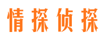 龙安市婚姻调查